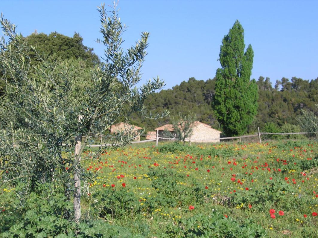Gites de Fontroussière Flayosc Esterno foto